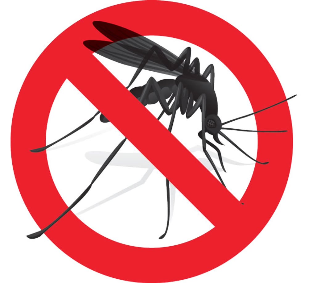 ANTI-MALARIA