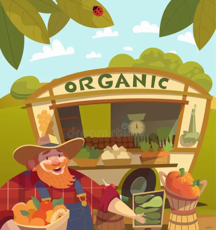 ORGANIC WHOLE MEAL